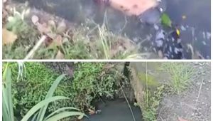 Polish_20230630_153002445